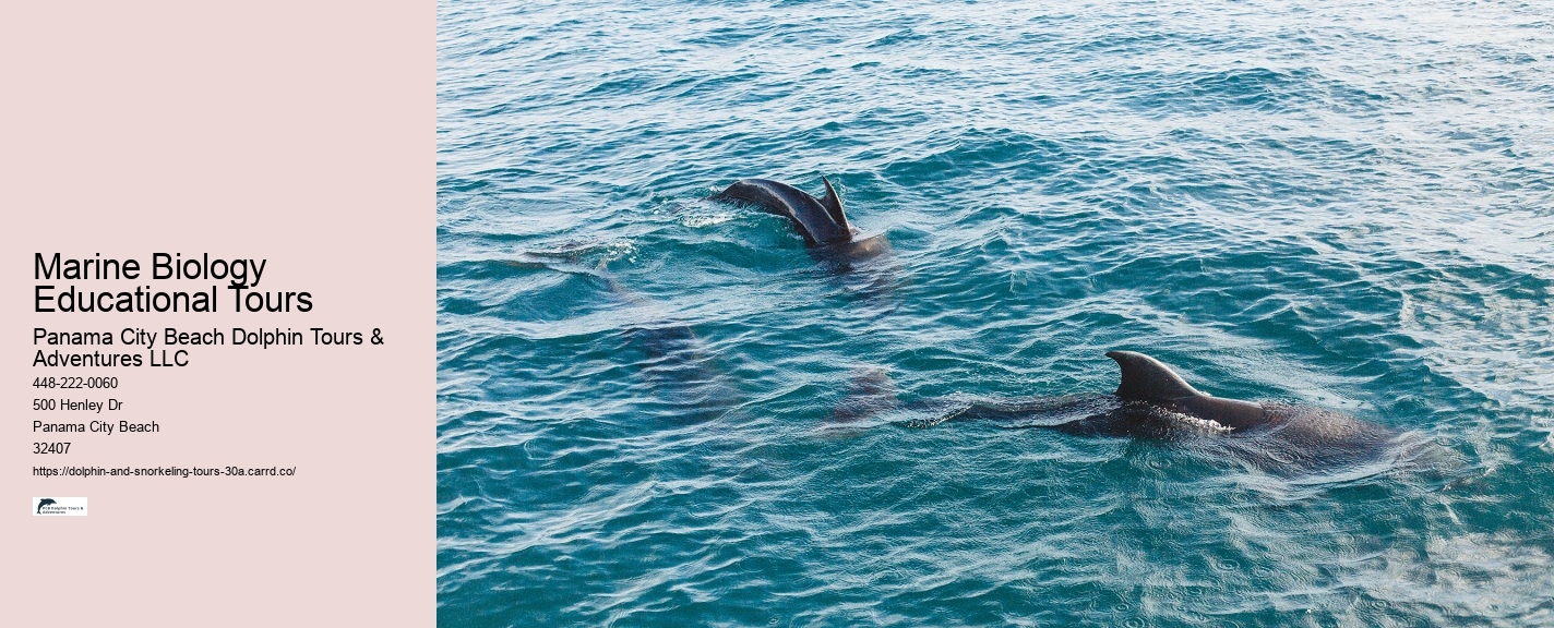 Dolphin & Snorkeling Tours Panama City Beach