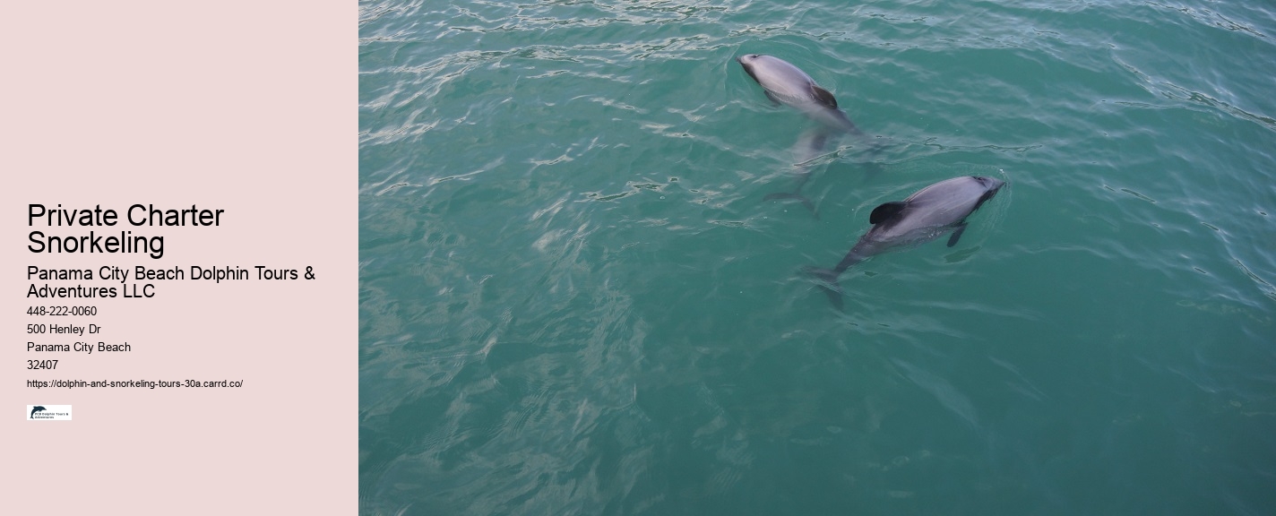 Full Moon Snorkeling Tours 30A