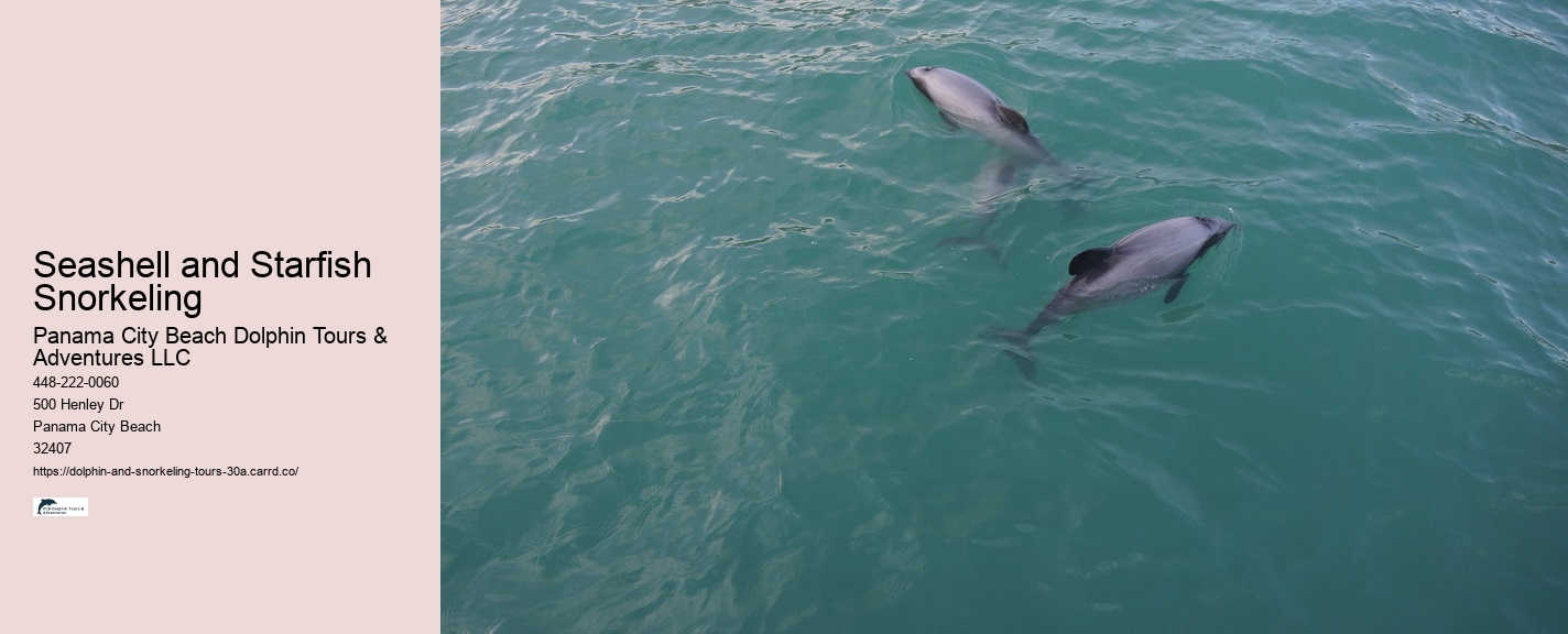 Submarine Dolphin Watch
