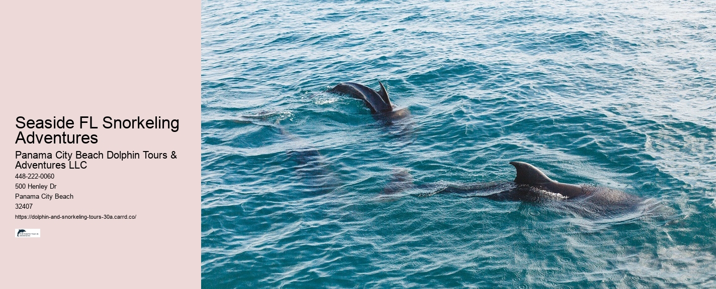 Do you need water shoes for dolphin encounter