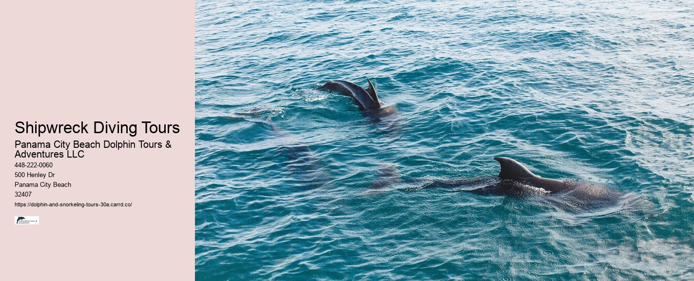 Snorkeling with Sharks in 30A