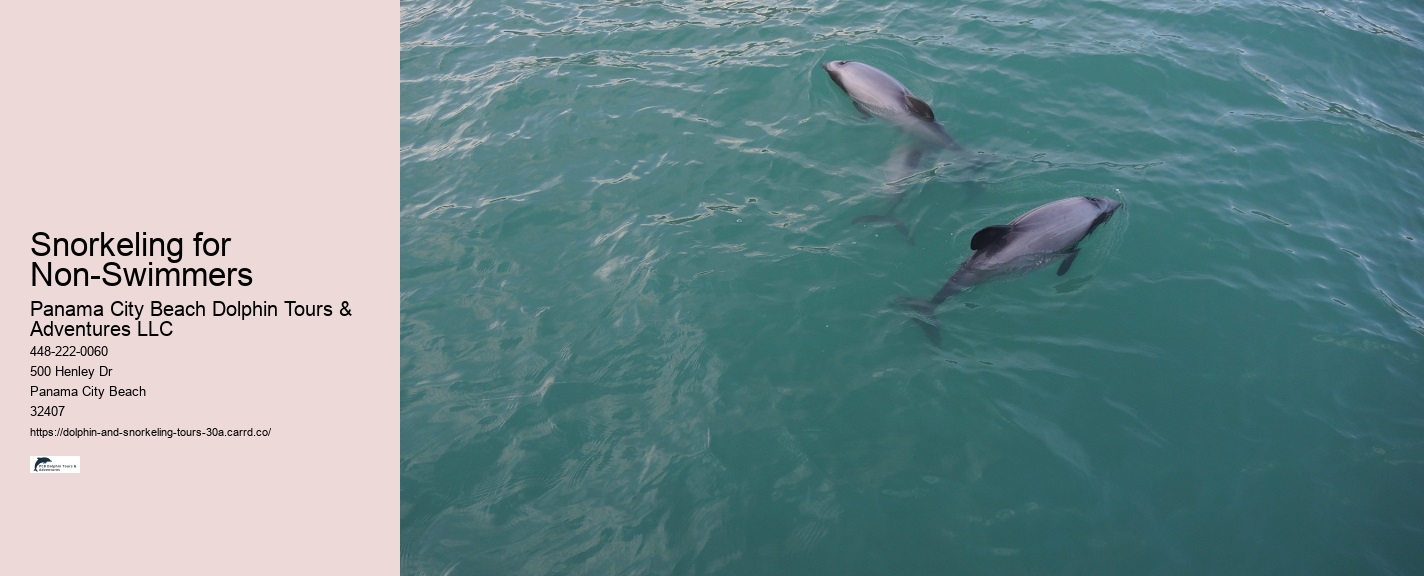 Can You Scuba Dive In Florida