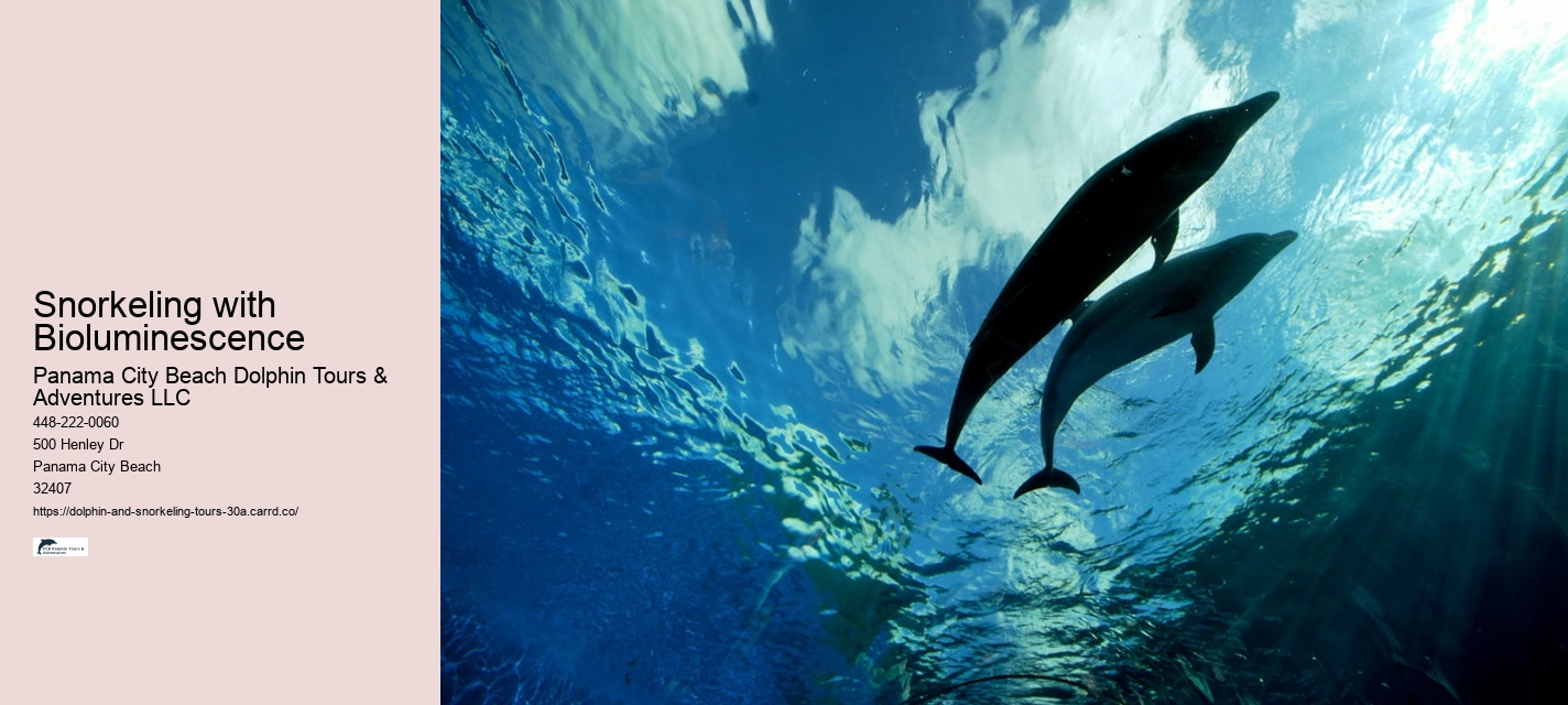 Snorkeling with Bioluminescence