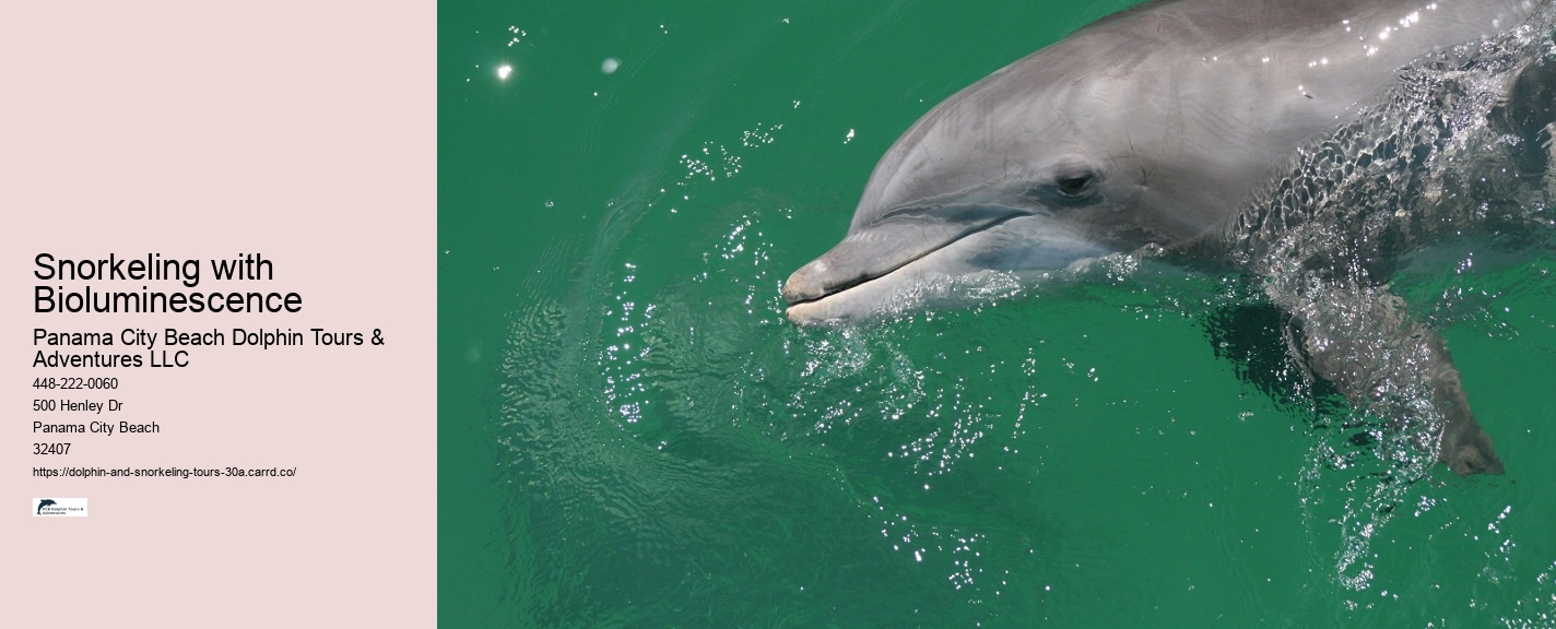 Best Snorkeling Locations in Panama City