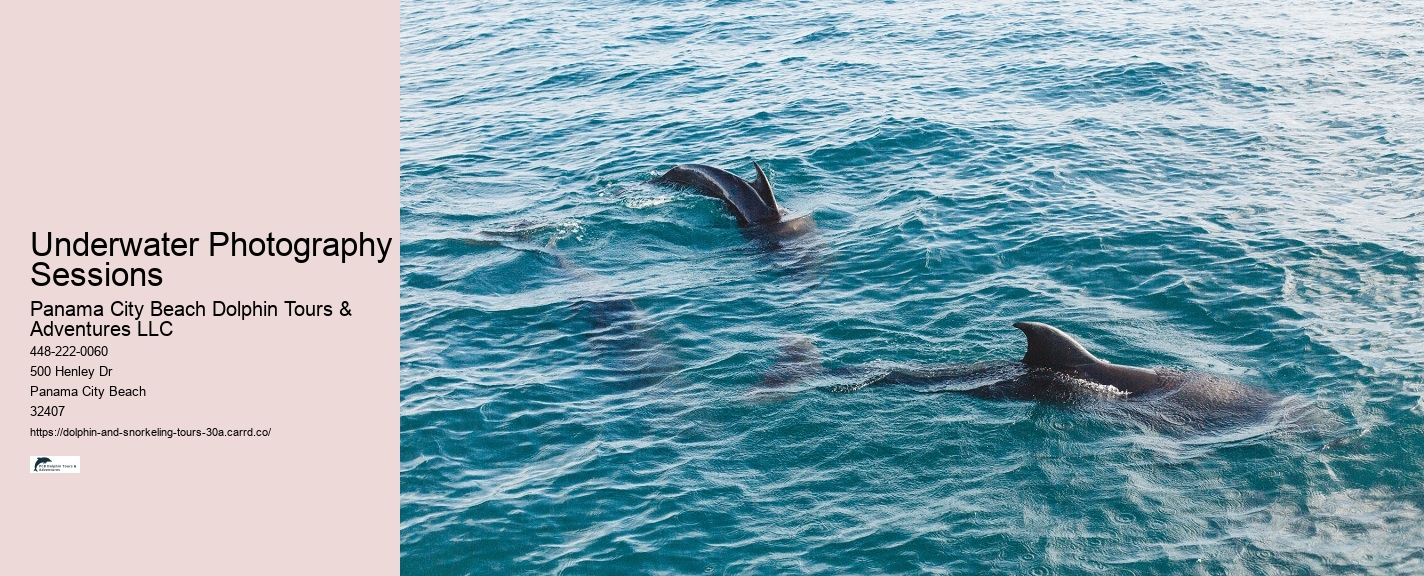 Custom Snorkeling Itineraries Panama City