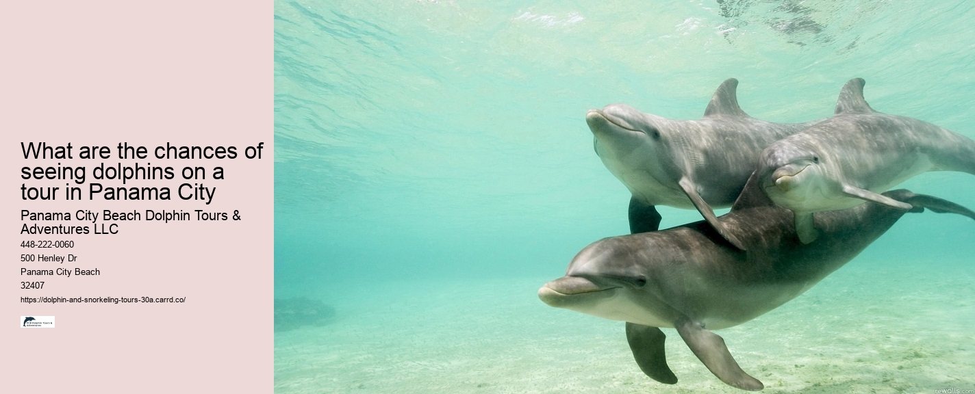What sharks are in 30A