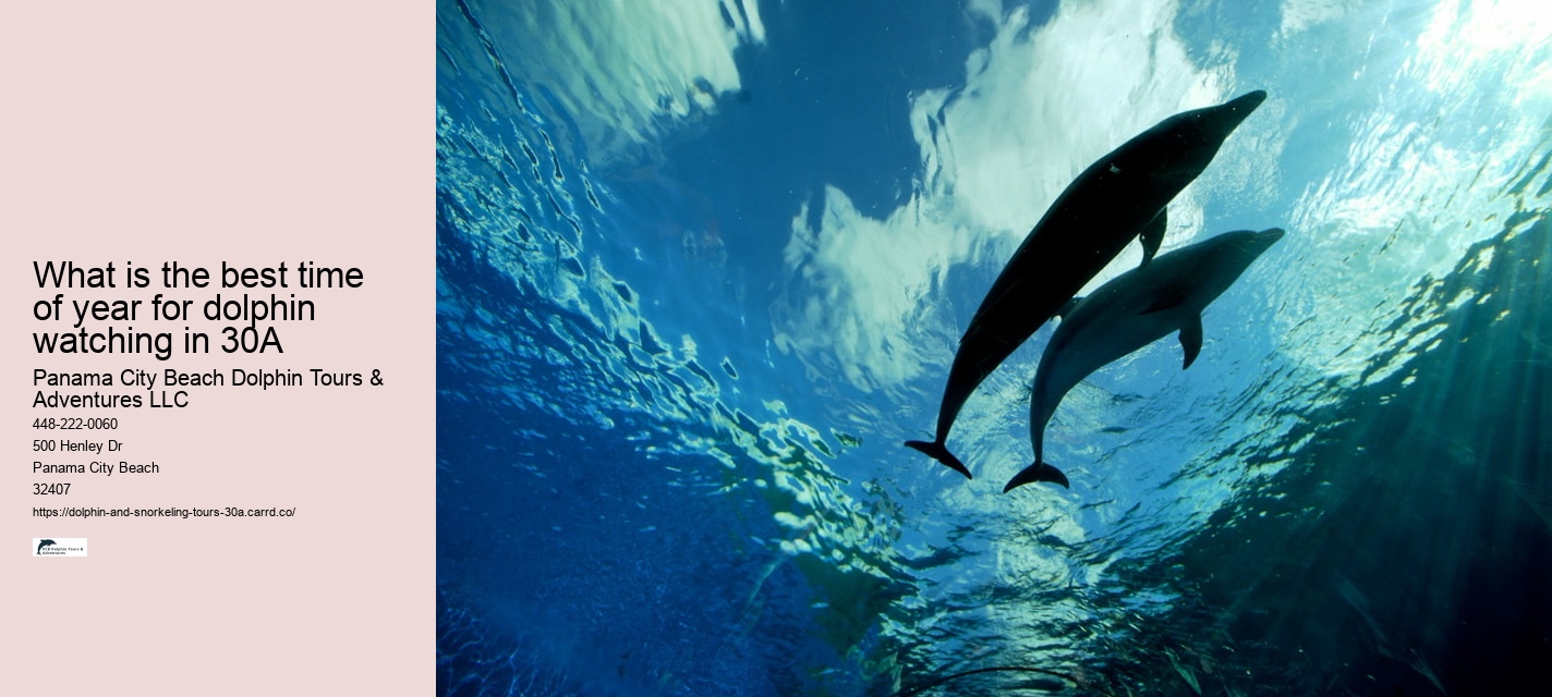 Full Moon Dolphin Watching
