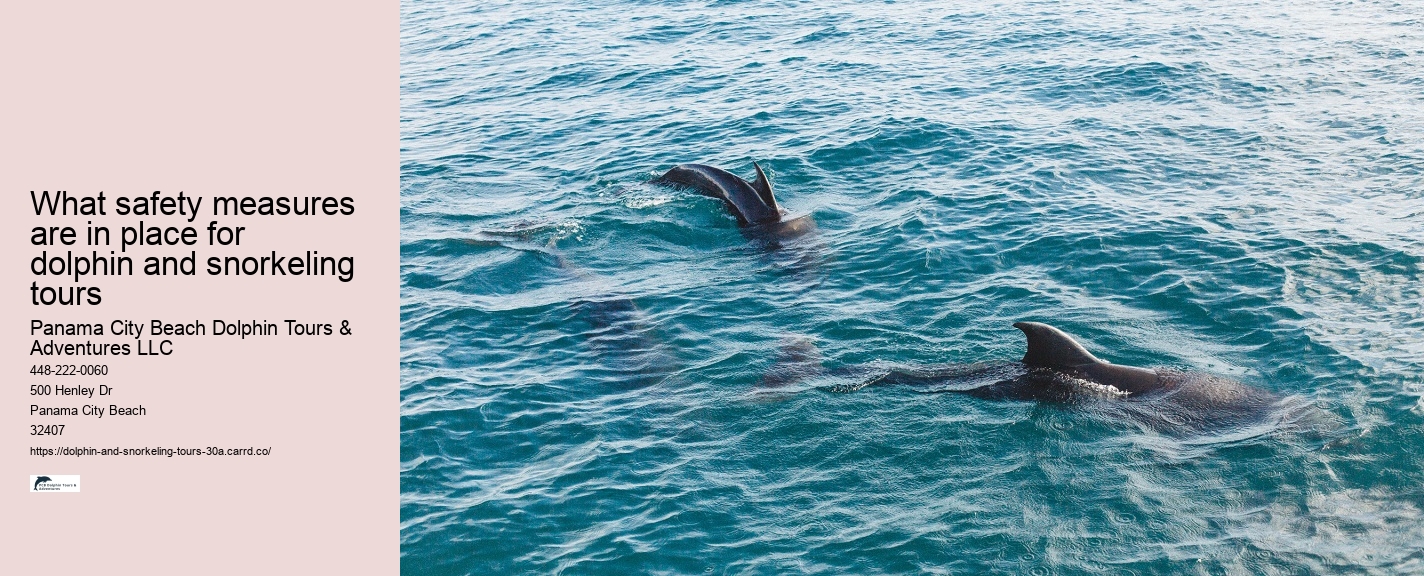What does it mean when dolphins swim around you