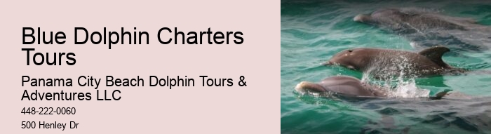Is swimming with dolphins an additional cost on the tour