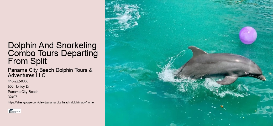 Split Snorkeling Expeditions With Dolphin Watching Included