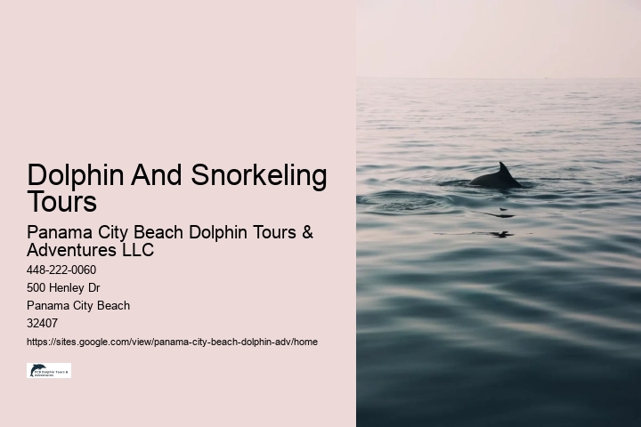 Why Is Panama City Beach So Popular