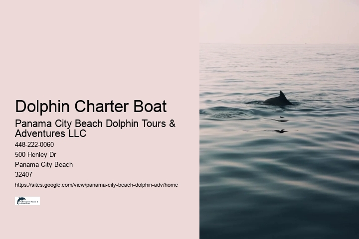 Panama City Beach Dolphin Sunset Cruise