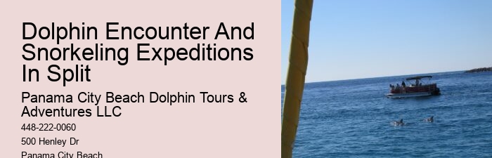 Rosemary Beach Dolphin Tours