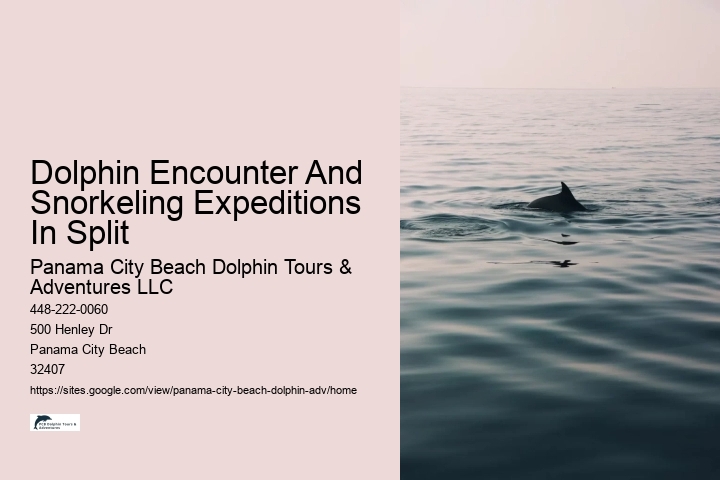 Do I need to bring my own snorkeling gear for a dolphin tour in Panama City Beach