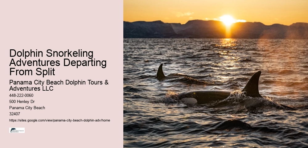 Private Dolphin Tours Hilton Head