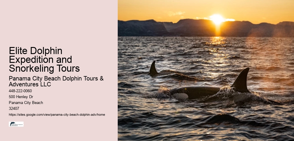 Eco-friendly tourism