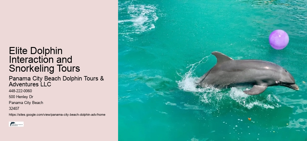 Island Excursion And Dolphin Watch