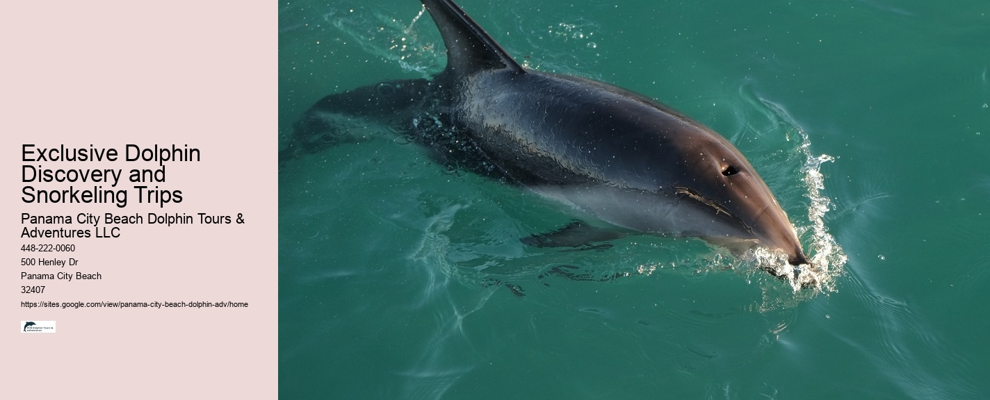 Are Panama City Beach dolphin tours suitable for non-swimmers