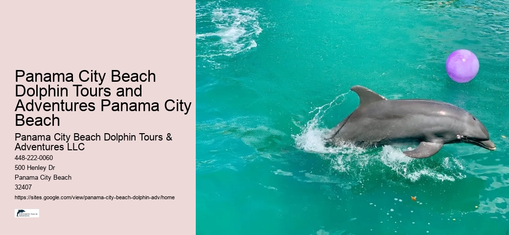 Split Boat Trips For Dolphin Watching And Snorkeling
