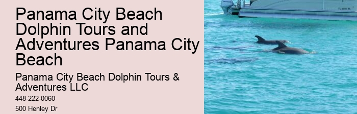 What type of boats are used for dolphin tours in Panama City Beach