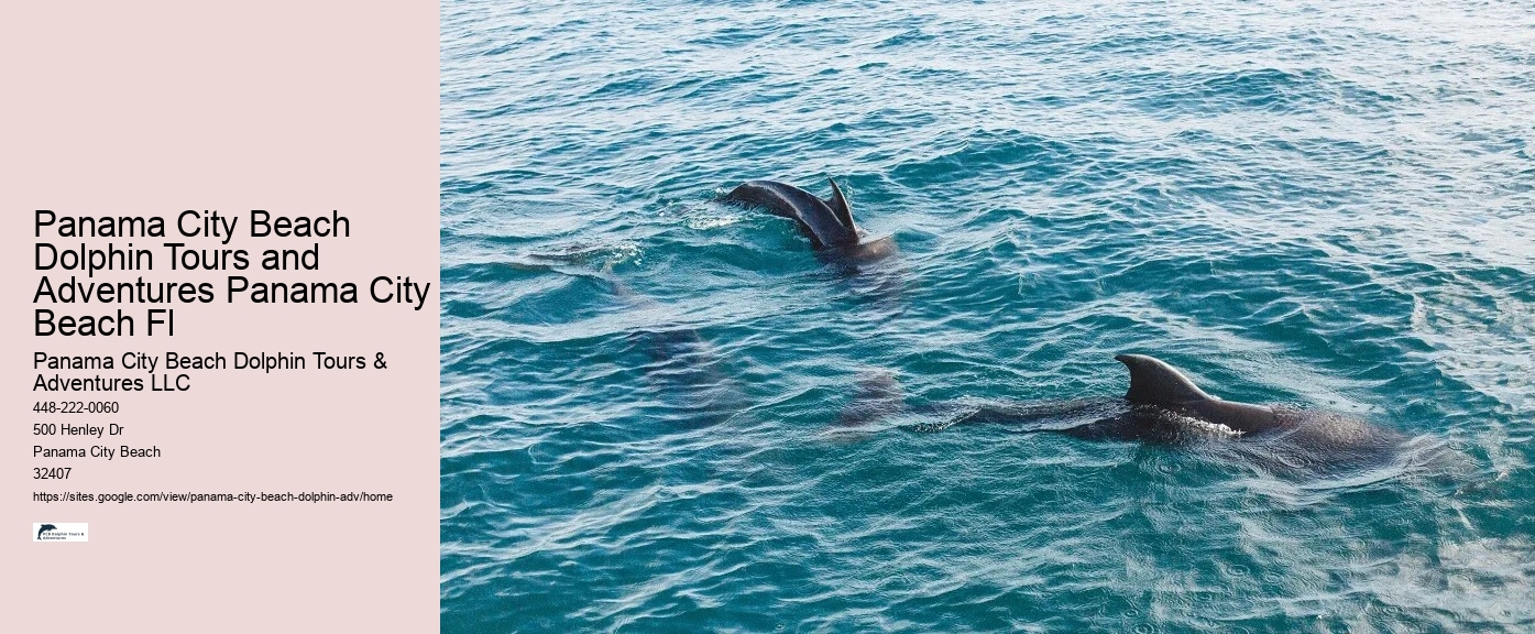 Split Off-the-grid Dolphin And Snorkeling Excursions