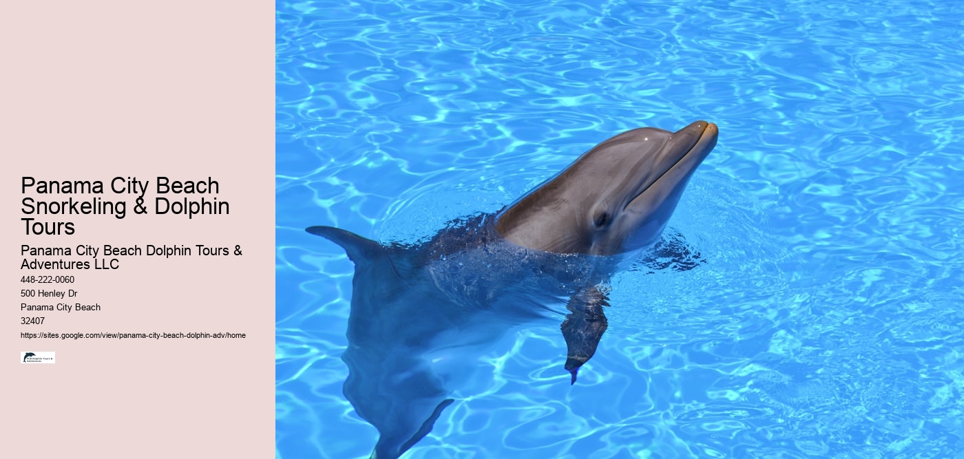 Panama City Beach Snorkeling & Dolphin Tours