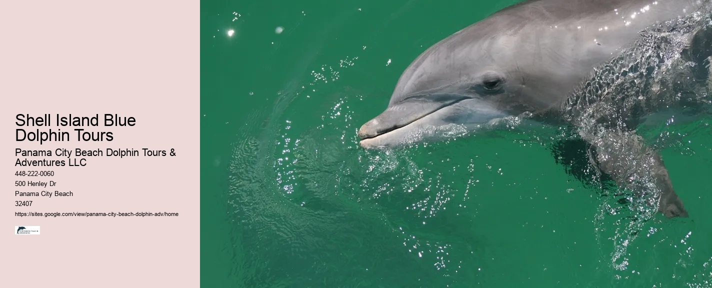 Shell Island Blue Dolphin Tours