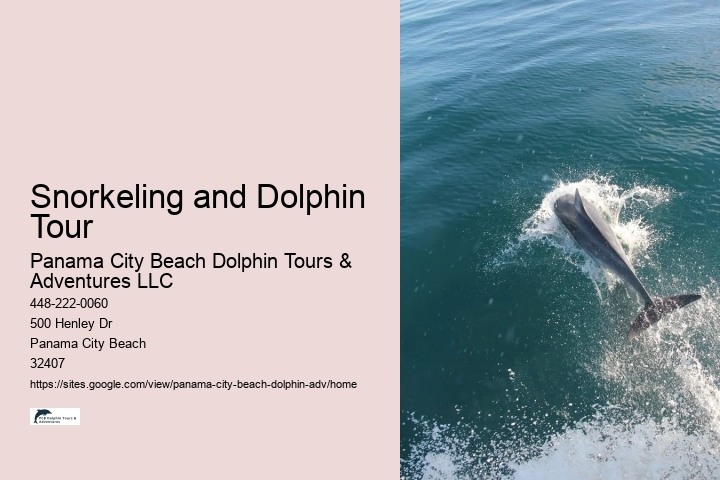 PCB Dolphin Exploration Voyages