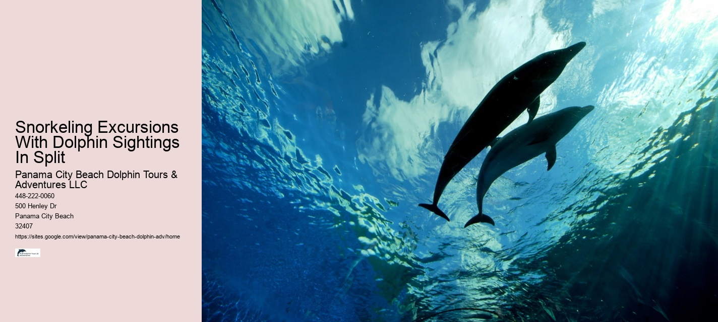 Exclusive Dolphin Watching and Snorkeling Adventures