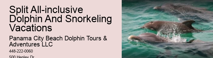 You Won't Need Water Shoes In The Water