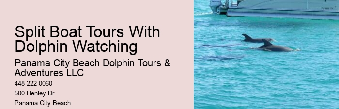 Are there any restrictions on interactions with dolphins during the tours in Panama City Beach