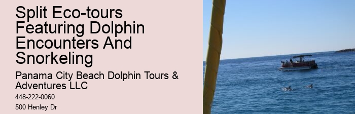 Panama City Beach dolphin excursions