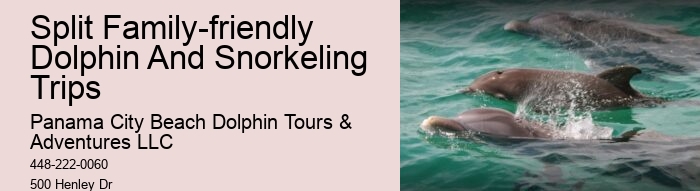 Split Private Charters For Dolphin And Snorkeling