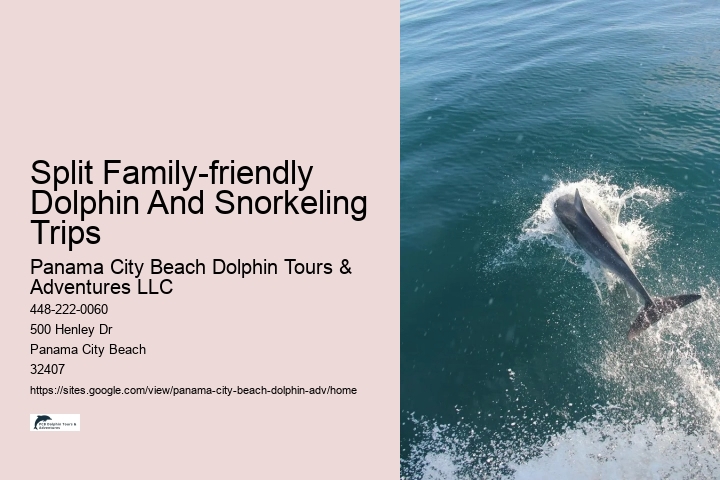 Do Dolphins Have A Dark Side