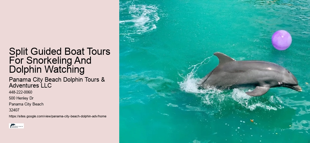 PCB Dolphin Sightseeing Trips