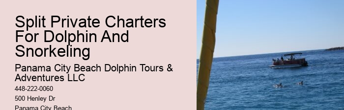 PCB Dolphin Discovery Voyages