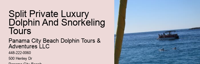 How far in advance should I book a dolphin tour in Panama City Beach