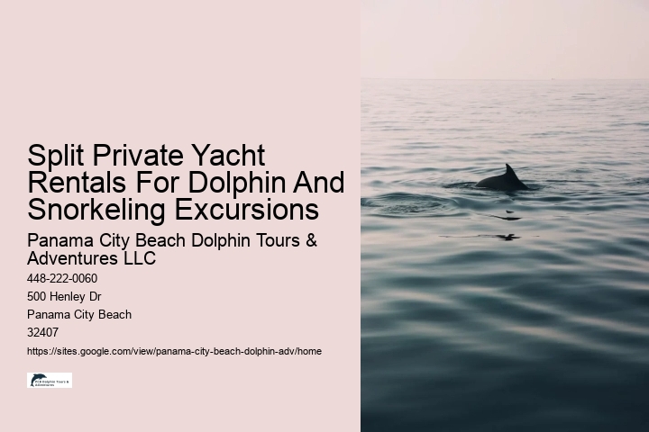 Split Vip Snorkeling And Dolphin Tours