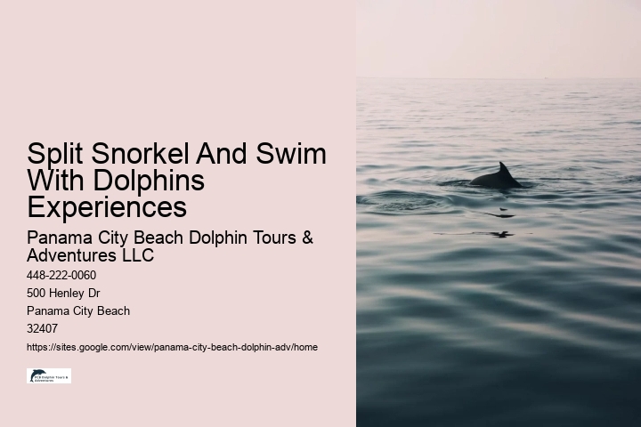 Panama City Beach Boat Tours