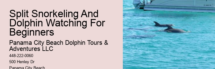 Split Island-hopping Tours With Dolphin Spotting And Snorkeling