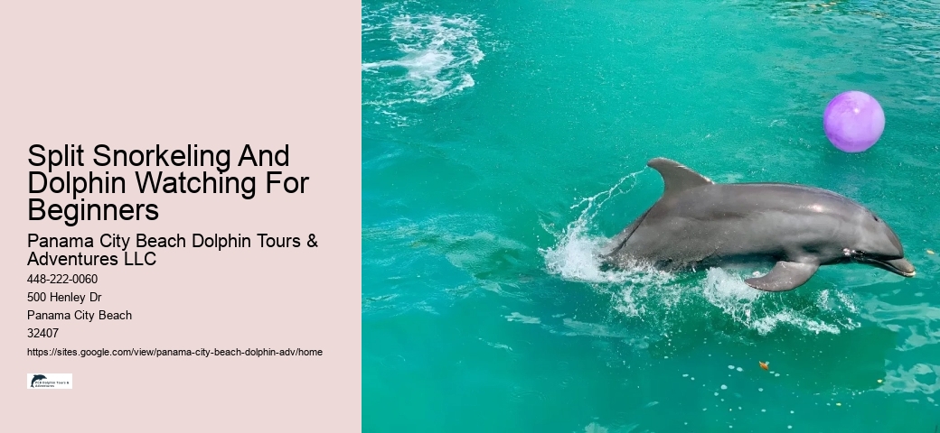 Sunset Dolphin Tour Panama City Beach