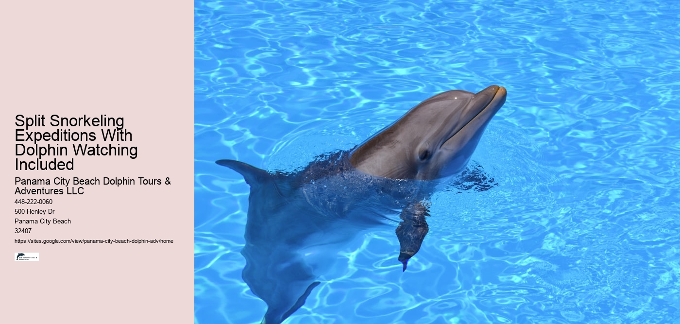 Do You Get Sea Sick On A Dolphin Cruise