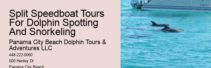 Snorkeling And Dolphin Cruise From Split