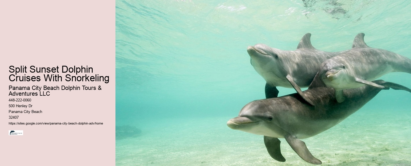 Do Dolphins Really Save Humans
