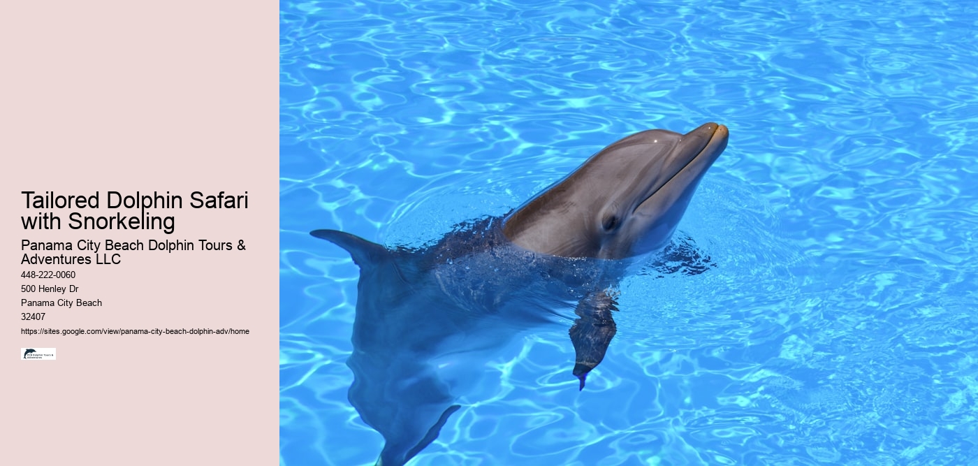 PCB Dolphin Discovery Cruises