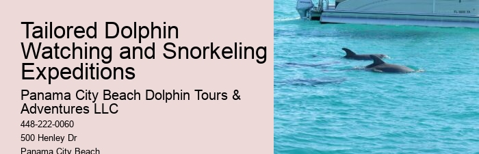 Tips And Advice For Swimming With Dolphins