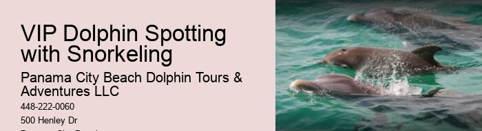 Why Is It Illegal To Interact With Dolphins