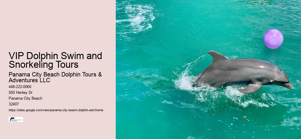 Exclusive Dolphin Exploration with Snorkeling