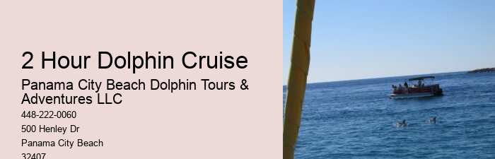 What Cruise Can You Swim With Dolphins