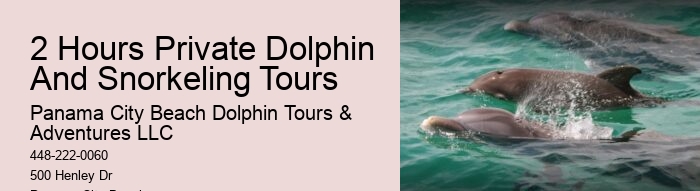 Secluded Dolphin Encounter with Snorkeling